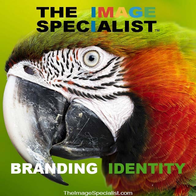 Logo Design Services Branding Identity